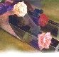 Box of Rose